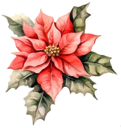 Las Vegas Commercial Christmas Decorating Services 1 christmas red flower